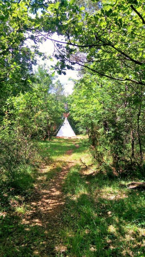 Country house Authentic Nature Retreat: Log And Tipis With Pool And Lascaux View Les Farges (Sarlat-la-Caneda)