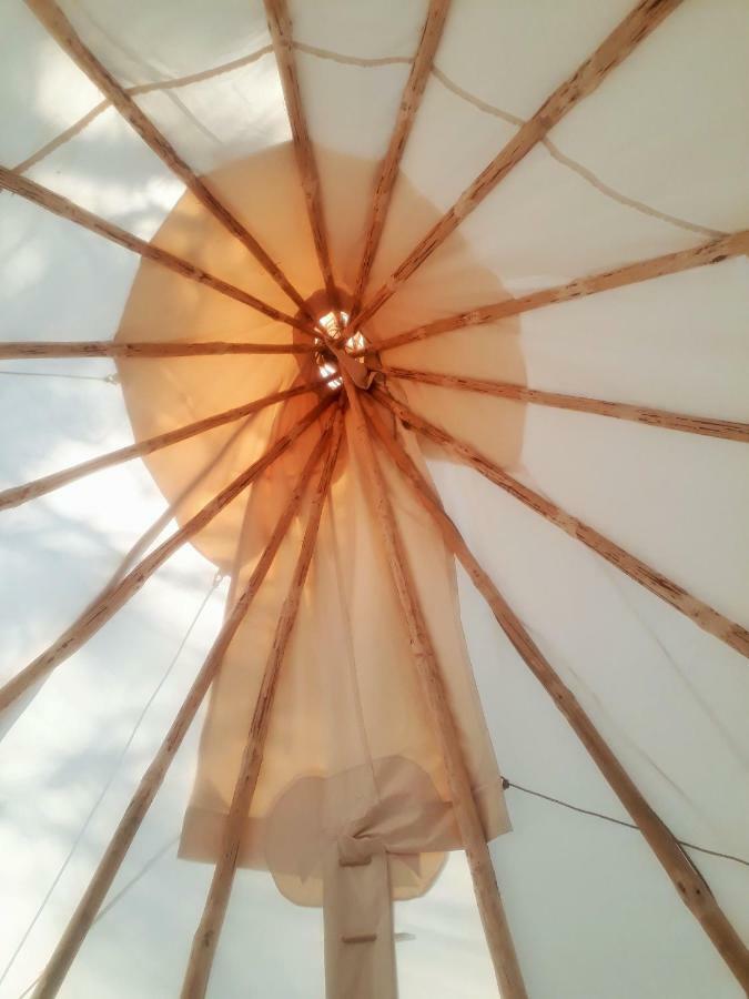 Country house Authentic Nature Retreat: Log And Tipis With Pool And Lascaux View